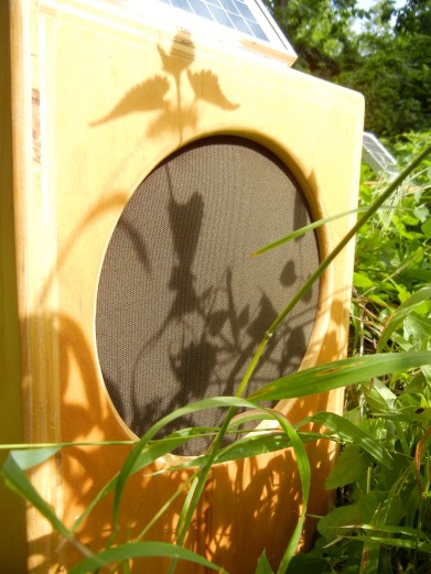 SunBoxes_grass